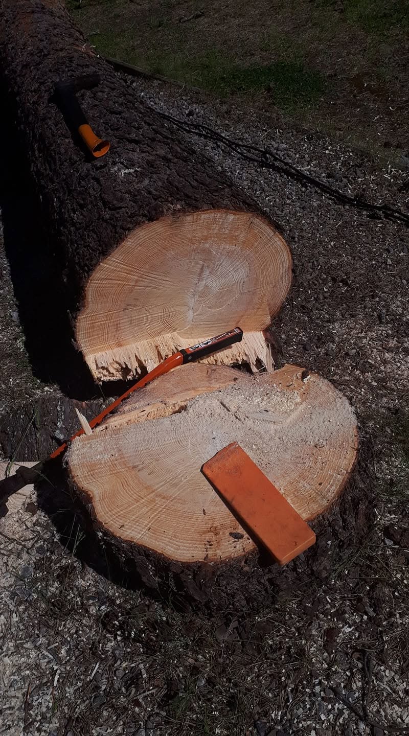 Metsätyökohde 9 – Metsäurakat A. Hakasalo