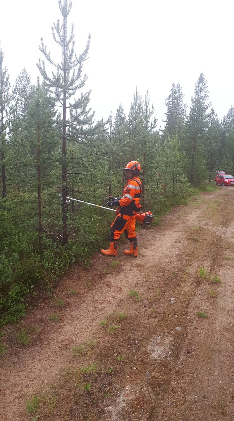 Metsätyökohde 2 – Metsäurakat A. Hakasalo
